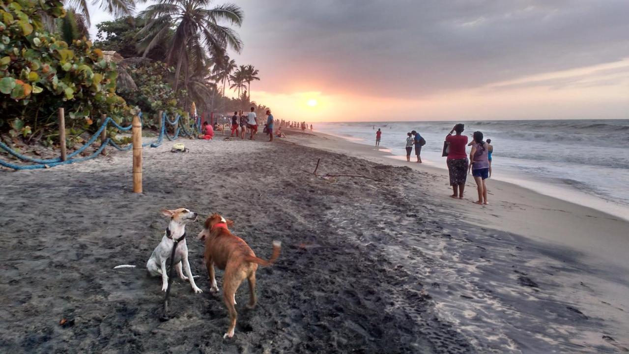 Freesoul Hostel بالومينو المظهر الخارجي الصورة